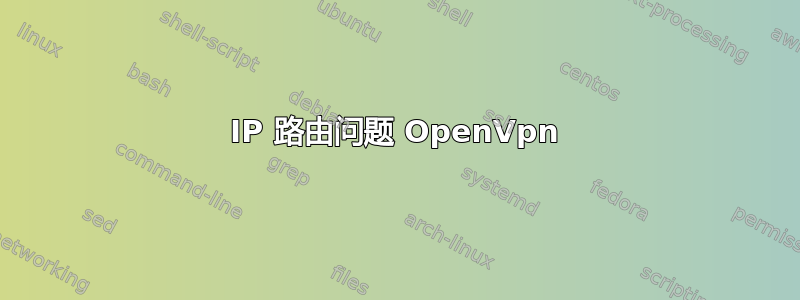 IP 路由问题 OpenVpn