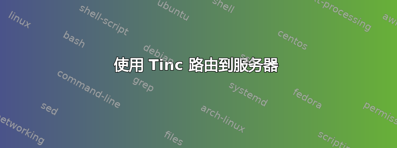 使用 Tinc 路由到服务器