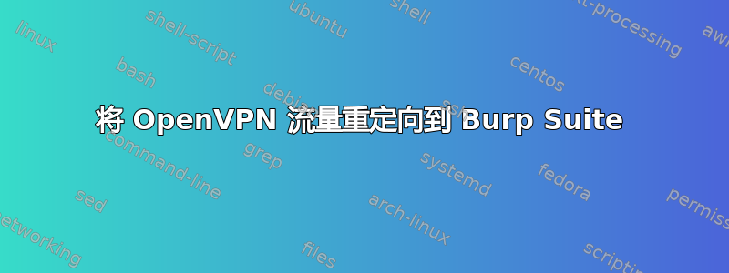 将 OpenVPN 流量重定向到 Burp Suite