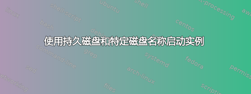 使用持久磁盘和特定磁盘名称启动实例