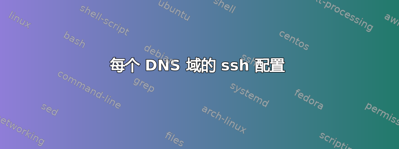 每个 DNS 域的 ssh 配置