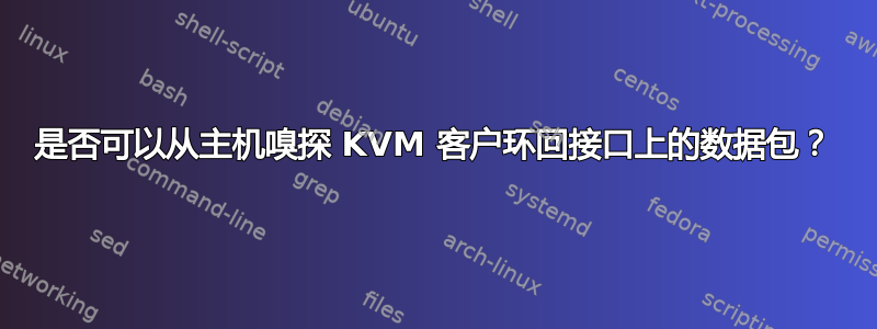 是否可以从主机嗅探 KVM 客户环回接口上的数据包？