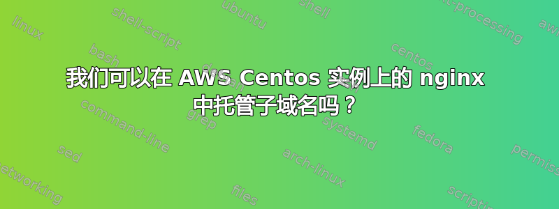 我们可以在 AWS Centos 实例上的 nginx 中托管子域名吗？