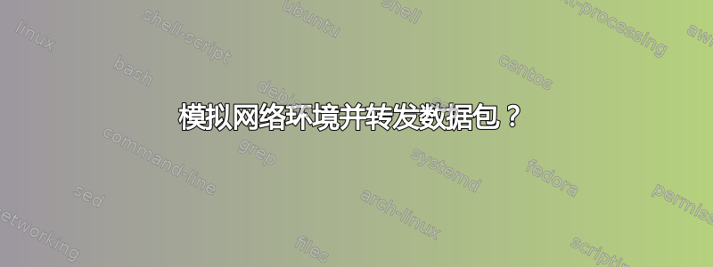 模拟网络环境并转发数据包？