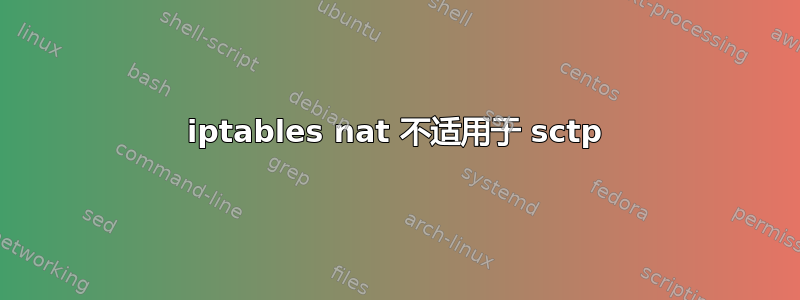 iptables nat 不适用于 sctp