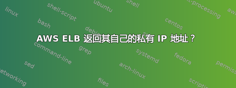 AWS ELB 返回其自己的私有 IP 地址？