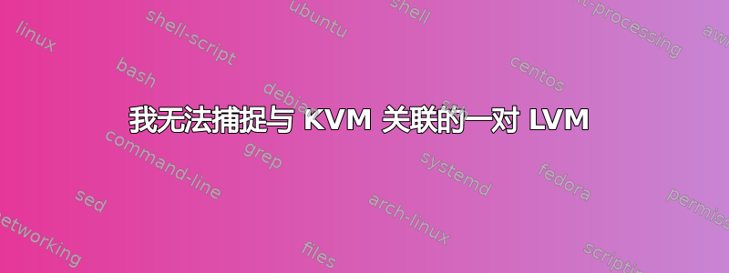 我无法捕捉与 KVM 关联的一对 LVM