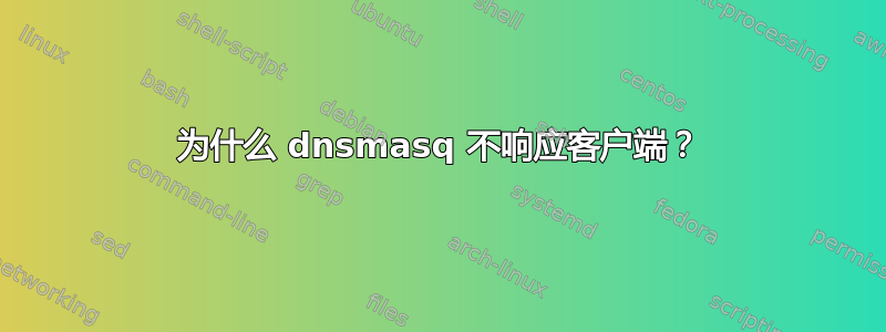 为什么 dnsmasq 不响应客户端？