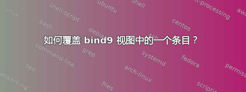 如何覆盖 bind9 视图中的一个条目？