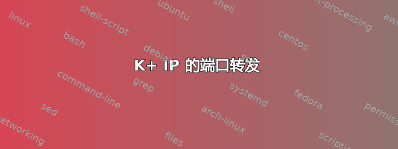 100K+ IP 的端口转发