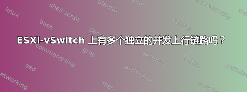 ESXi-vSwitch 上有多个独立的并发上行链路吗？