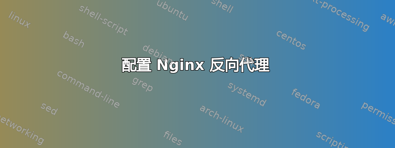 配置 Nginx 反向代理