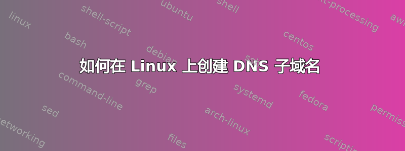 如何在 Linux 上创建 DNS 子域名