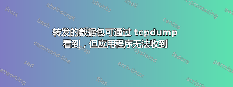 转发的数据包可通过 tcpdump 看到，但应用程序无法收到