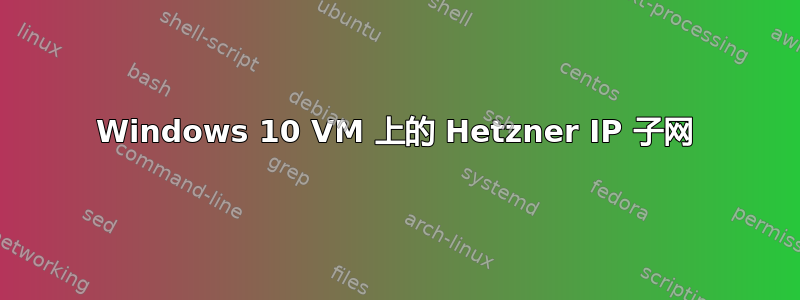 Windows 10 VM 上的 Hetzner IP 子网