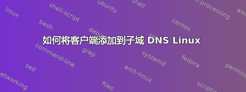 如何将客户端添加到子域 DNS Linux