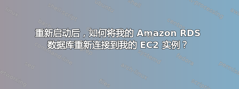 重新启动后，如何将我的 Amazon RDS 数据库重新连接到我的 EC2 实例？