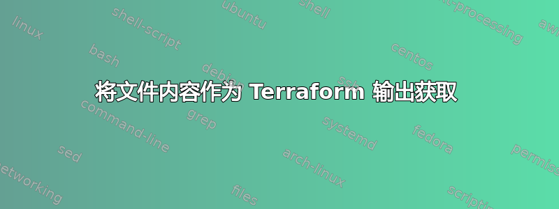 将文件内容作为 Terraform 输出获取