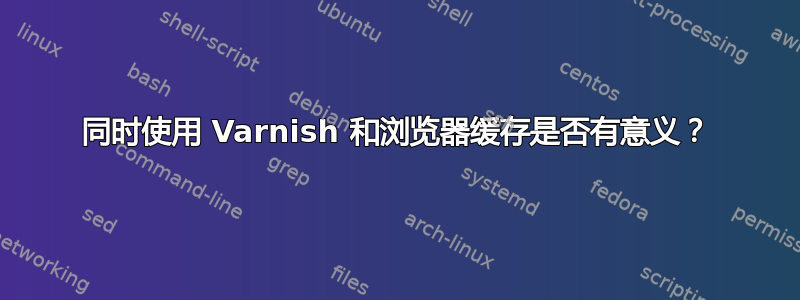 同时使用 Varnish 和浏览器缓存是否有意义？