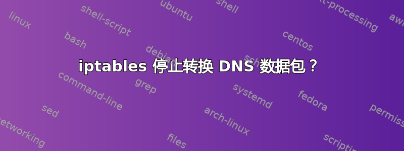 iptables 停止转换 DNS 数据包？