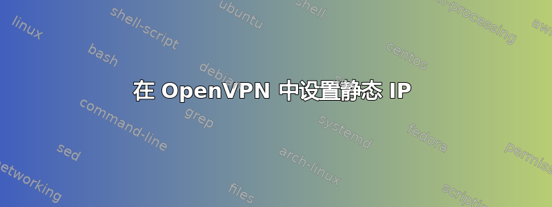 在 OpenVPN 中设置静态 IP