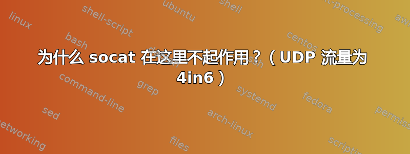 为什么 socat 在这里不起作用？（UDP 流量为 4in6）