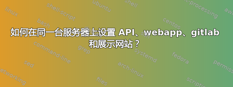 如何在同一台服务器上设置 API、webapp、gitlab 和展示网站？