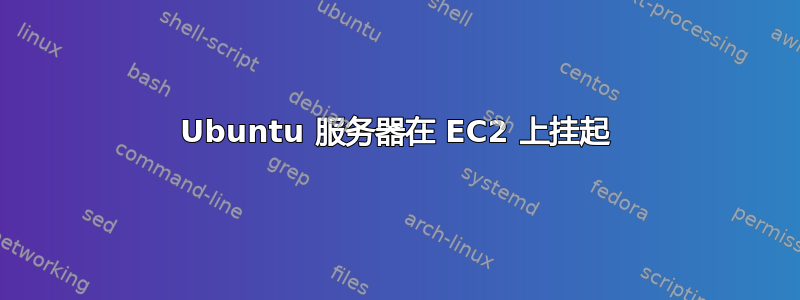 Ubuntu 服务器在 EC2 上挂起