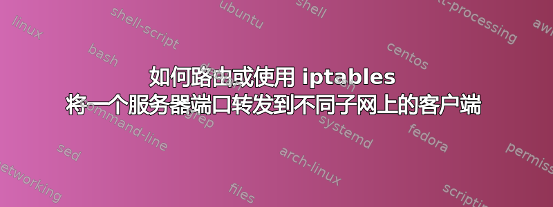 如何路由或使用 iptables 将一个服务器端口转发到不同子网上的客户端