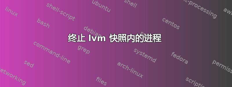 终止 lvm 快照内的进程