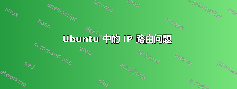 Ubuntu 中的 IP 路由问题