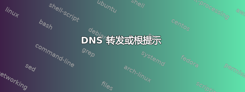 DNS 转发或根提示