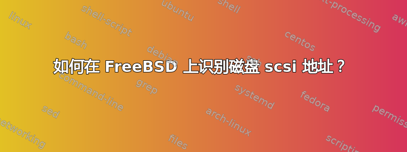 如何在 FreeBSD 上识别磁盘 scsi 地址？