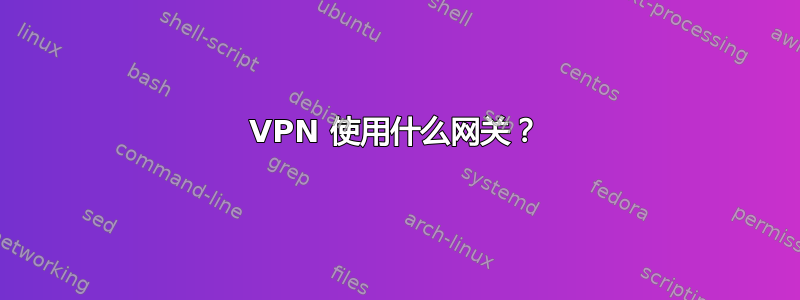 VPN 使用什么网关？