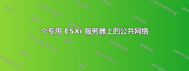 2 个专用 ESXi 服务器上的公共网络