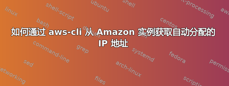 如何通过 aws-cli 从 Amazon 实例获取自动分配的 IP 地址