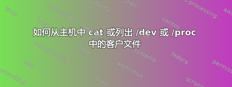 如何从主机中 cat 或列出 /dev 或 /proc 中的客户文件