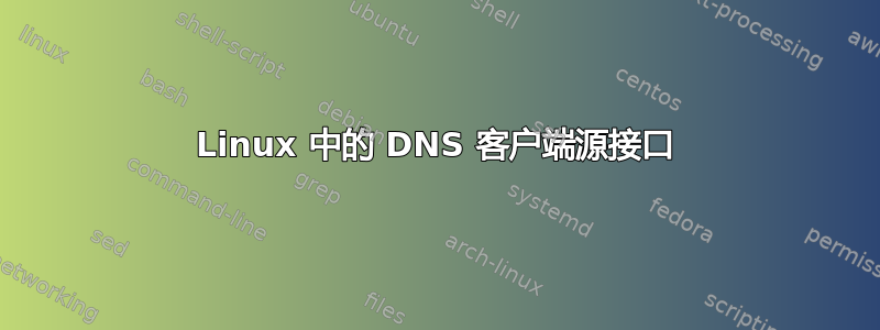 Linux 中的 DNS 客户端源接口