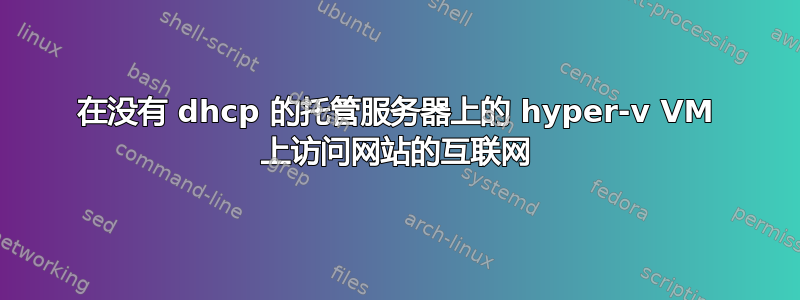 在没有 dhcp 的托管服务器上的 hyper-v VM 上访问网站的互联网