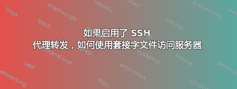 如果启用了 SSH 代理转发，如何使用套接字文件访问服务器