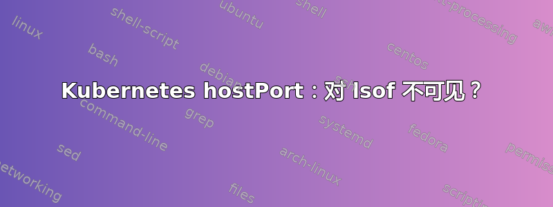 Kubernetes hostPort：对 lsof 不可见？