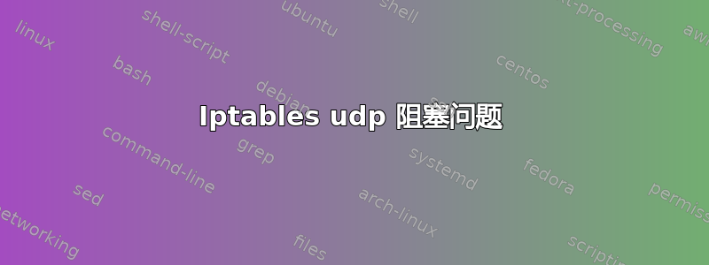 Iptables udp 阻塞问题