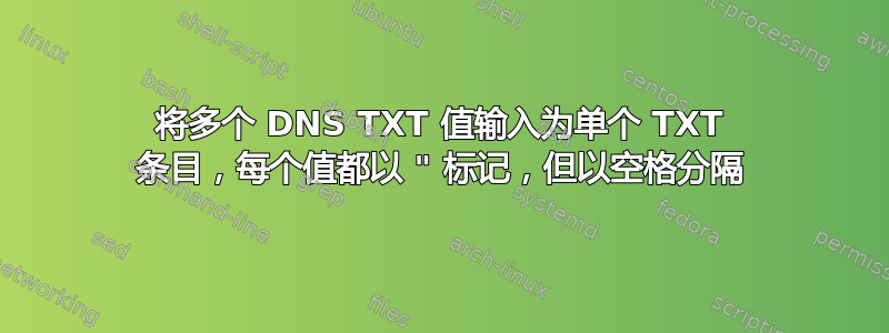 将多个 DNS TXT 值输入为单个 TXT 条目，每个值都以 " 标记，但以空格分隔