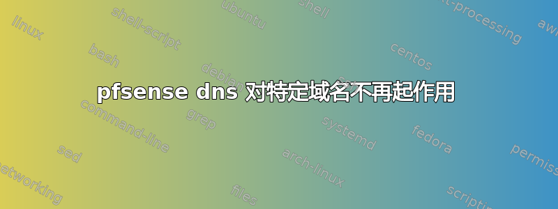 pfsense dns 对特定域名不再起作用