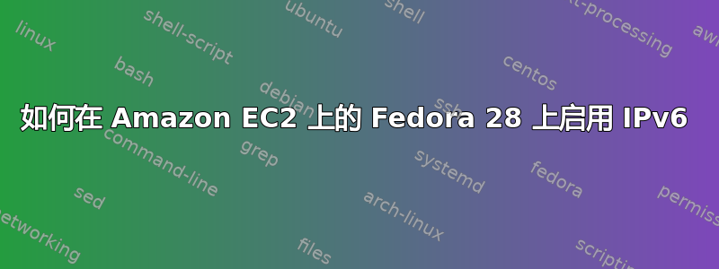 如何在 Amazon EC2 上的 Fedora 28 上启用 IPv6