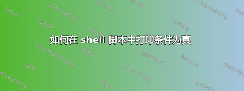 如何在 shell 脚本中打印条件为真