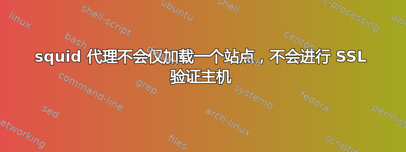 squid 代理不会仅加载一个站点，不会进行 SSL 验证主机