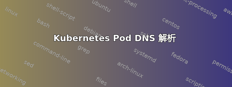 Kubernetes Pod DNS 解析