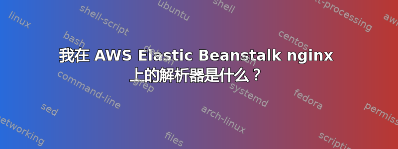 我在 AWS Elastic Beanstalk nginx 上的解析器是什么？