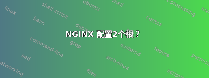 NGINX 配置2个根？